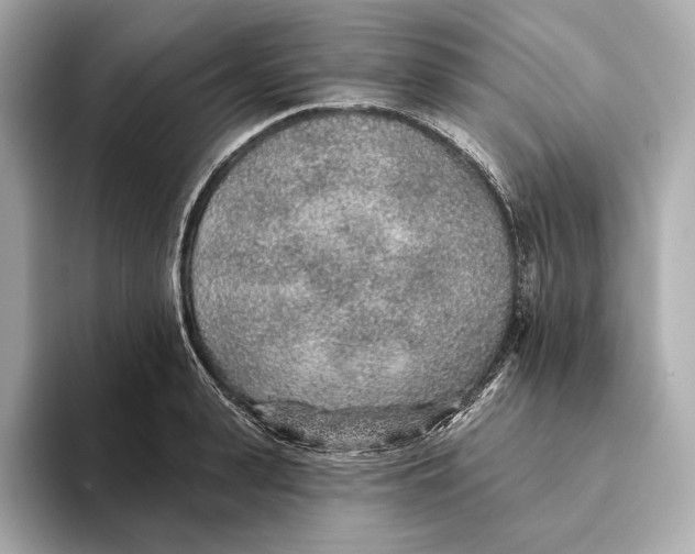 X0000093500943200711021007