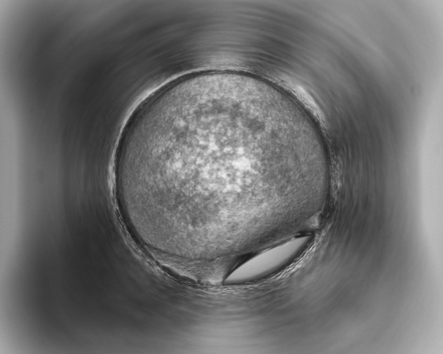 X0000093500944200711021007