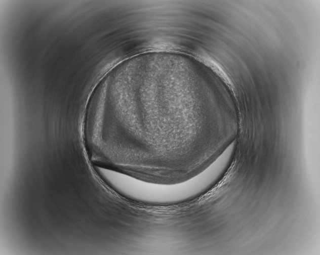 X0000093500946200711021007