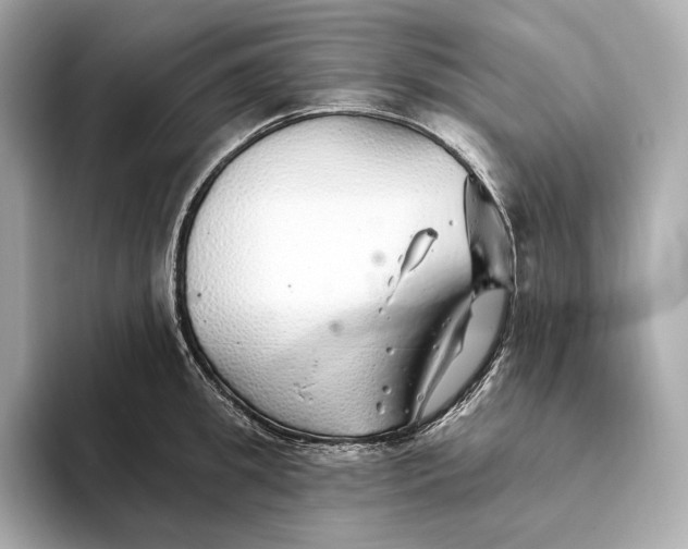 X0000093500949200711021007