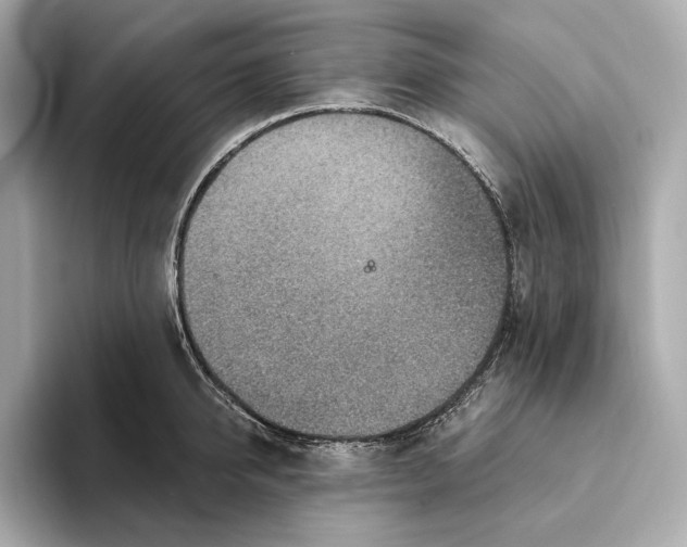 X0000093500950200711021007