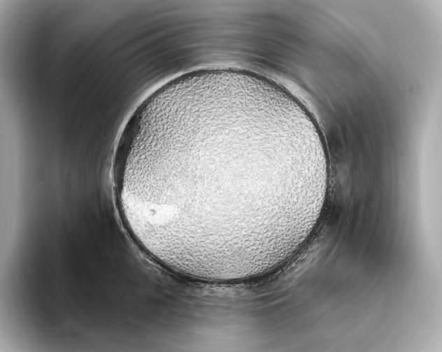 X0000093500951200711021007
