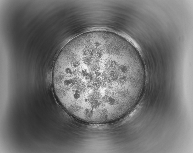 X0000093500953200711021007