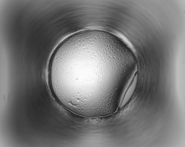 X0000093500955200711021007