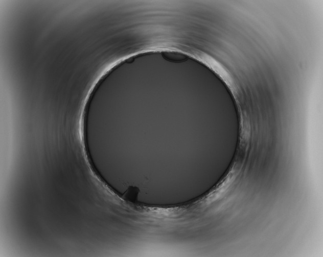 X0000093500958200711021007
