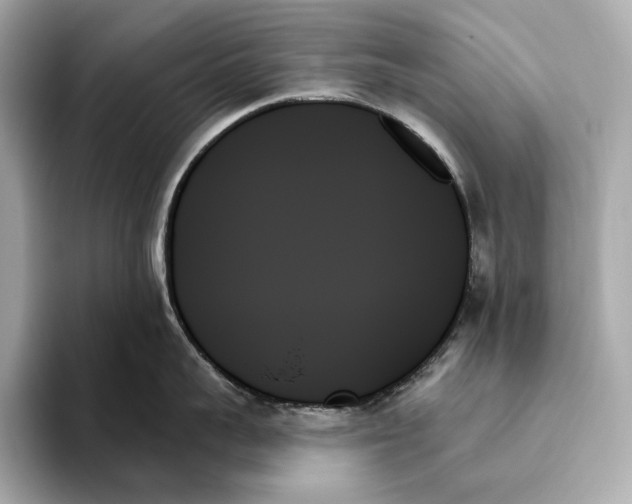 X0000093500959200711021007