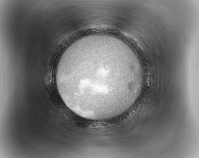 X0000093500966200711021007
