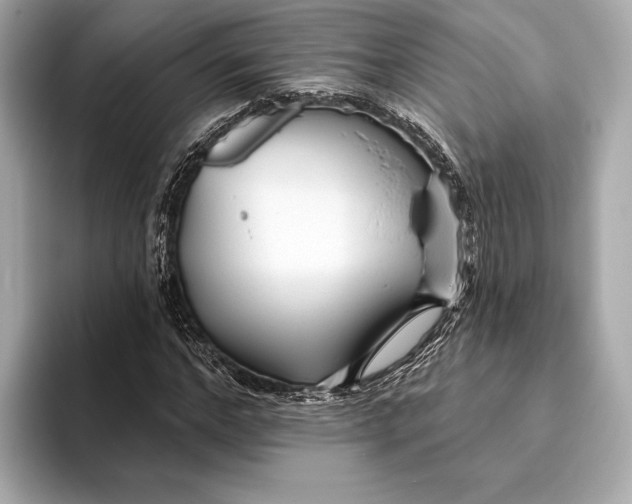 X0000093500968200711021007