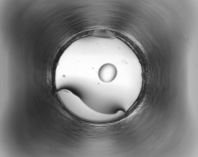 X0000093500969200711021007