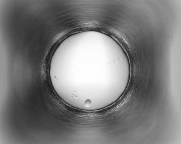 X0000093500970200711021007