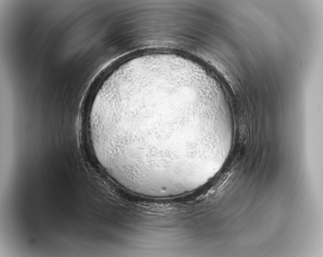 X0000093500975200711021007