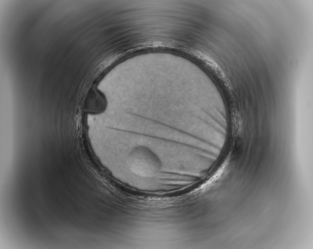 X0000093500977200711021007
