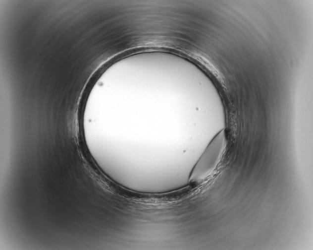 X0000093500980200711021006