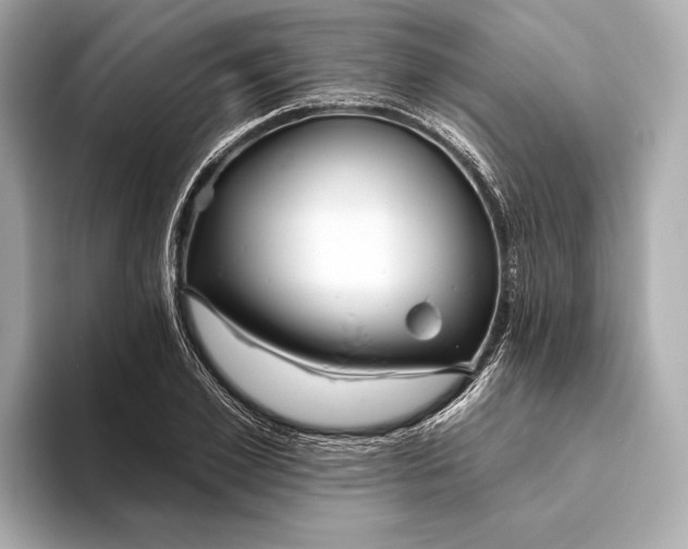 X0000093500981200711021006