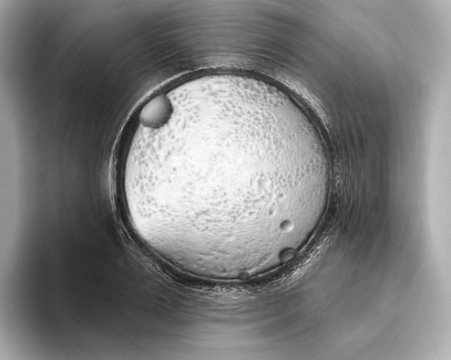 X0000093500983200711021006