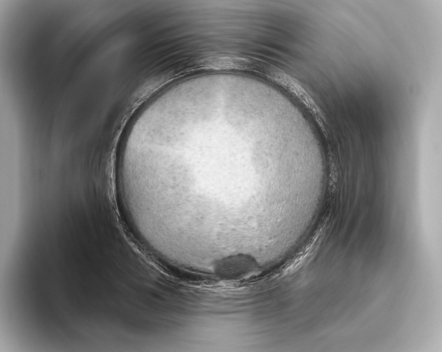 X0000093500986200711021006