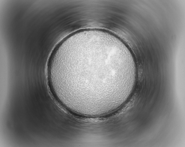 X0000093500990200711021006