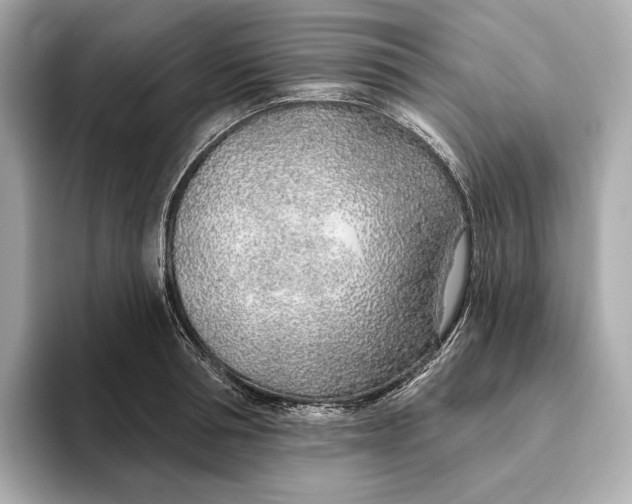 X0000093500994200711021006