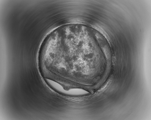 X0000093500995200711021006