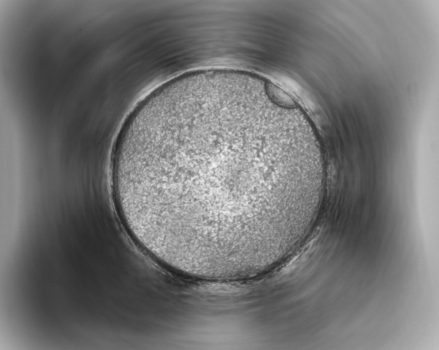 X0000093500998200711021006