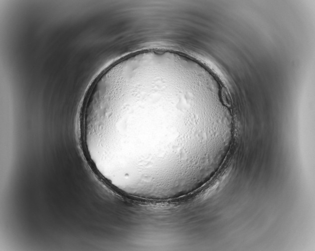 X0000093500999200711021006