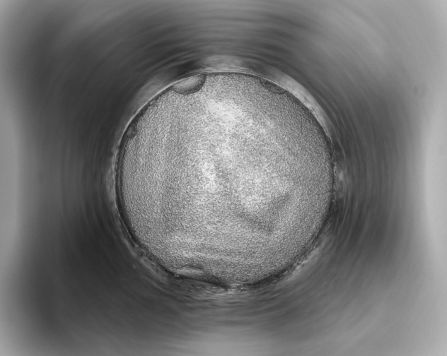 X0000093501002200711021006