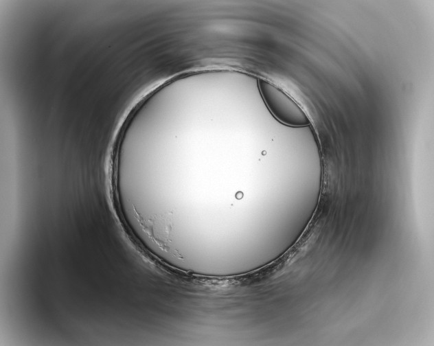 X0000093501003200711021006