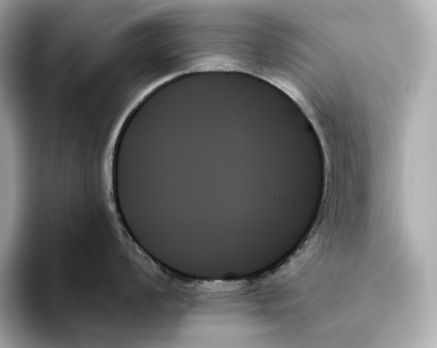 X0000093501008200711021006