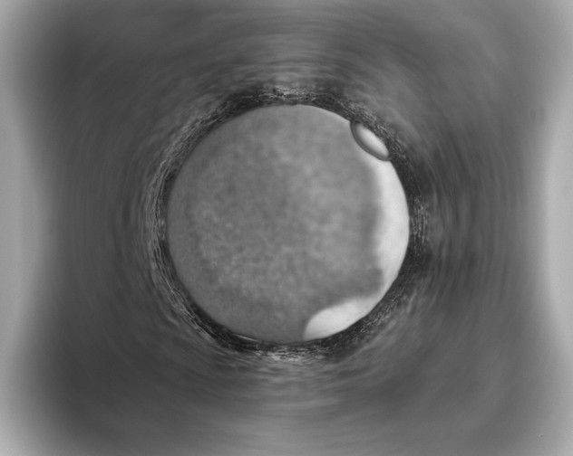 X0000093501009200711021006