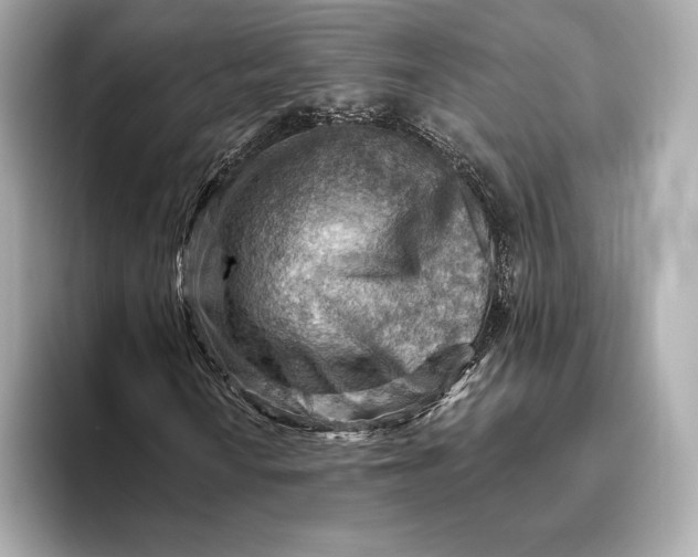 X0000093501010200711021006