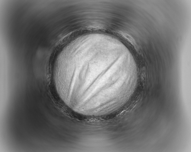 X0000093501015200711021006