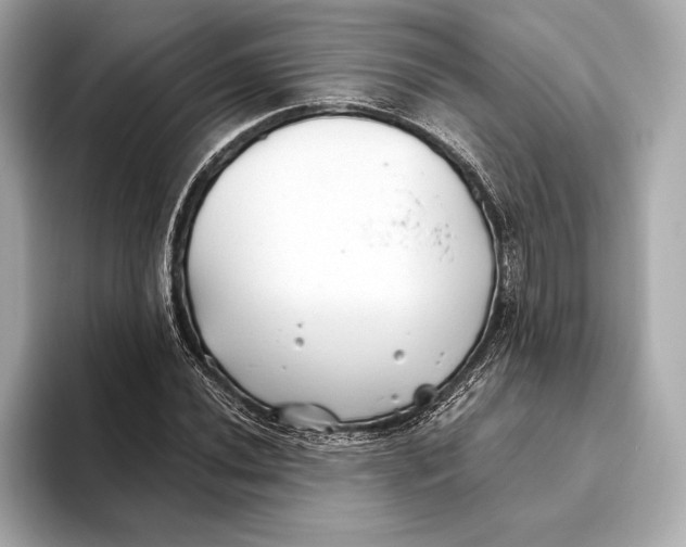 X0000093501020200711021006