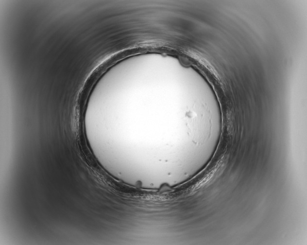 X0000093501021200711021006