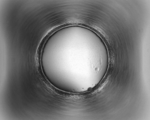 X0000093501022200711021006