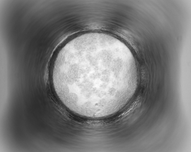 X0000093501023200711021006