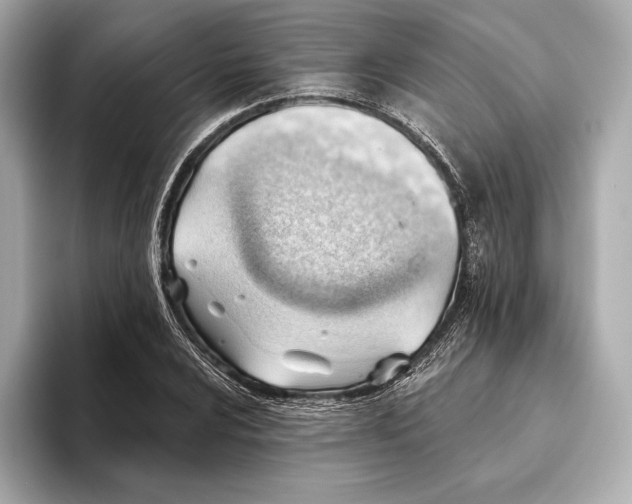 X0000093501024200711021006