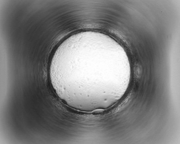 X0000093501025200711021006
