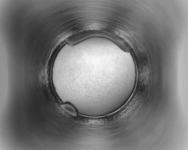 X0000093501026200711021006