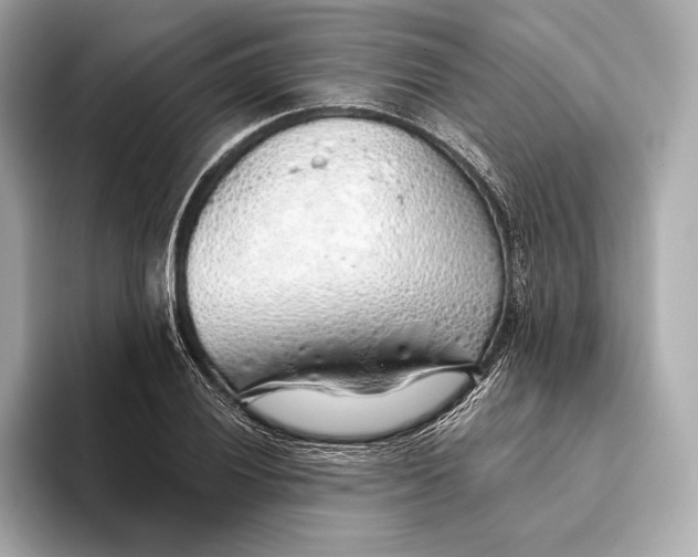 X0000093501028200711021006