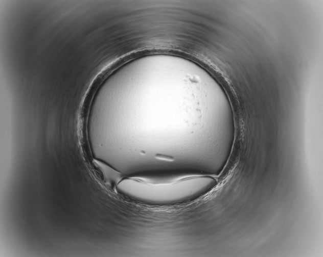 X0000093501029200711021006