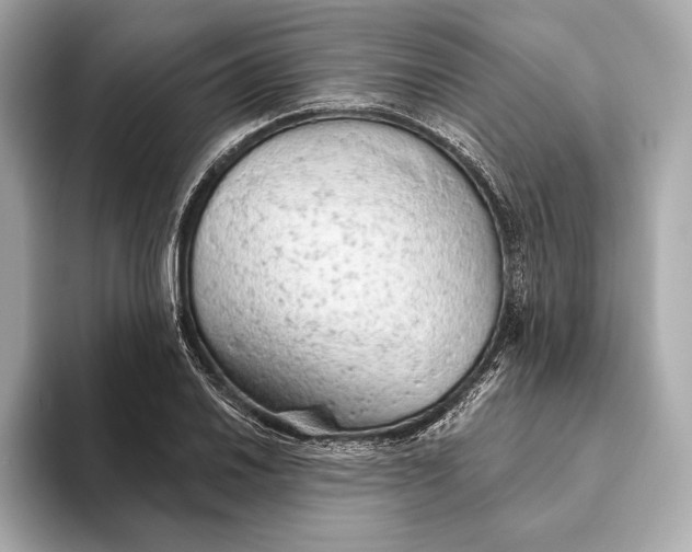 X0000093501030200711021006