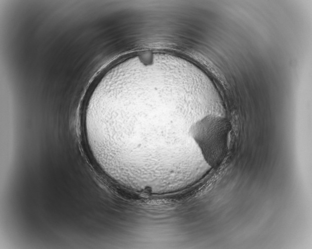 X0000093501031200711021006