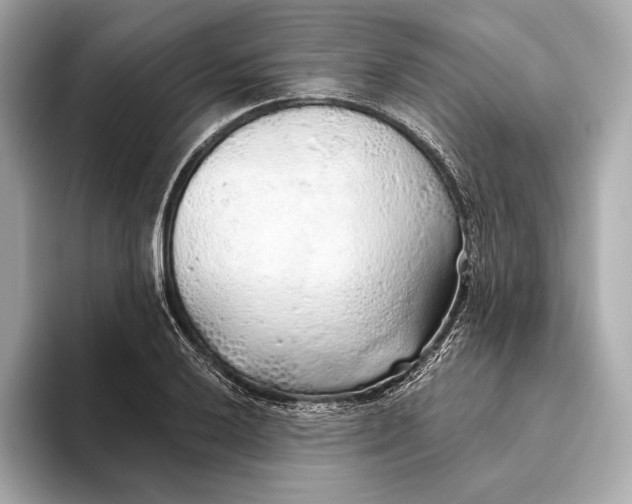 X0000093501032200711021006