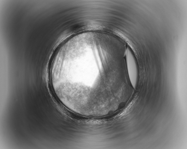 X0000093501034200711021006