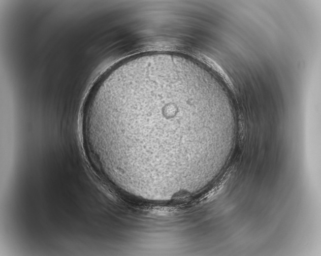 X0000093501035200711021006