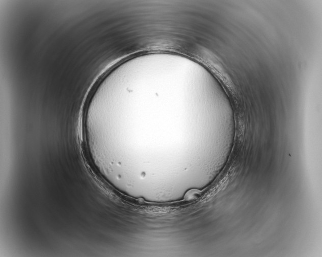 X0000093501036200711021006
