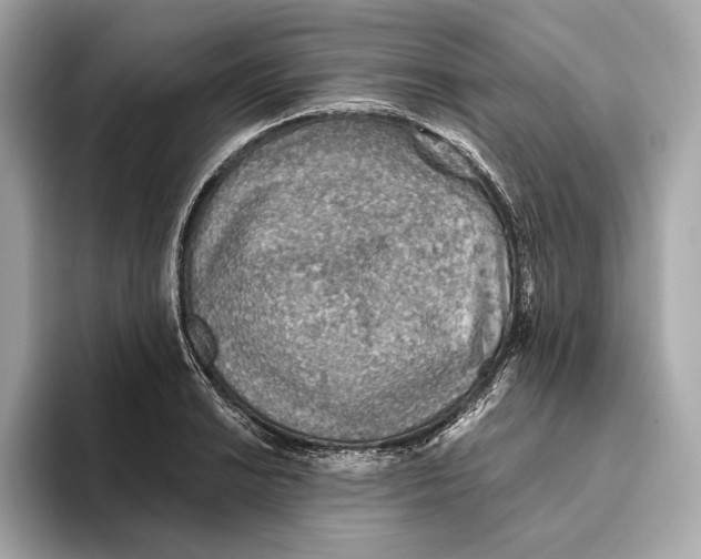 X0000093501038200711021006