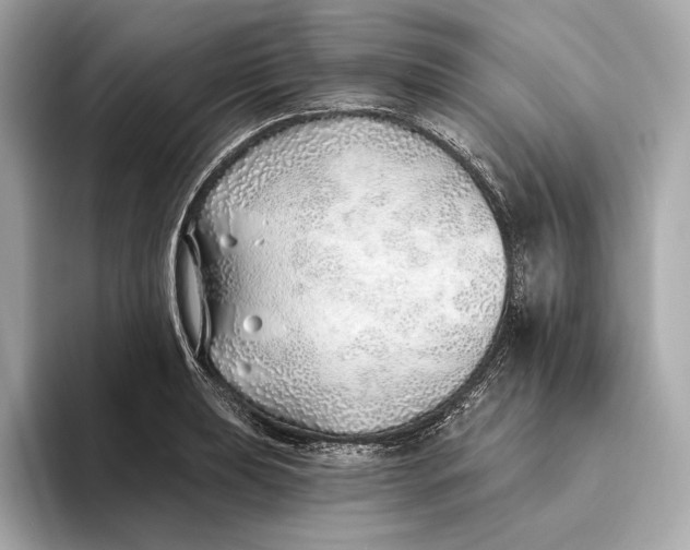X0000093501039200711021006