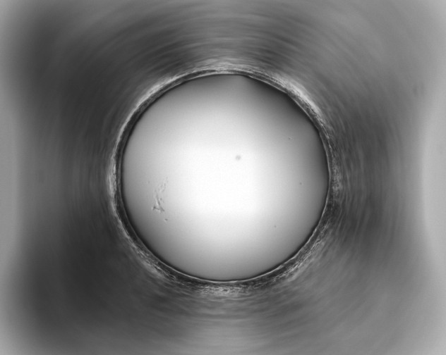 X0000093501040200711021006
