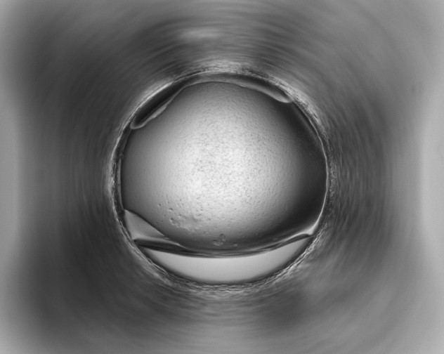 X0000093501042200711021006